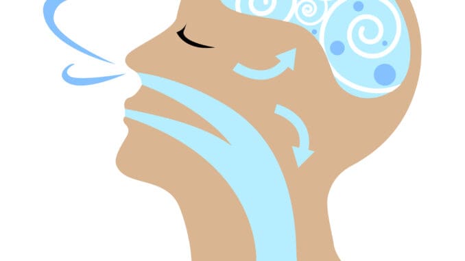 vectorstock_20227520